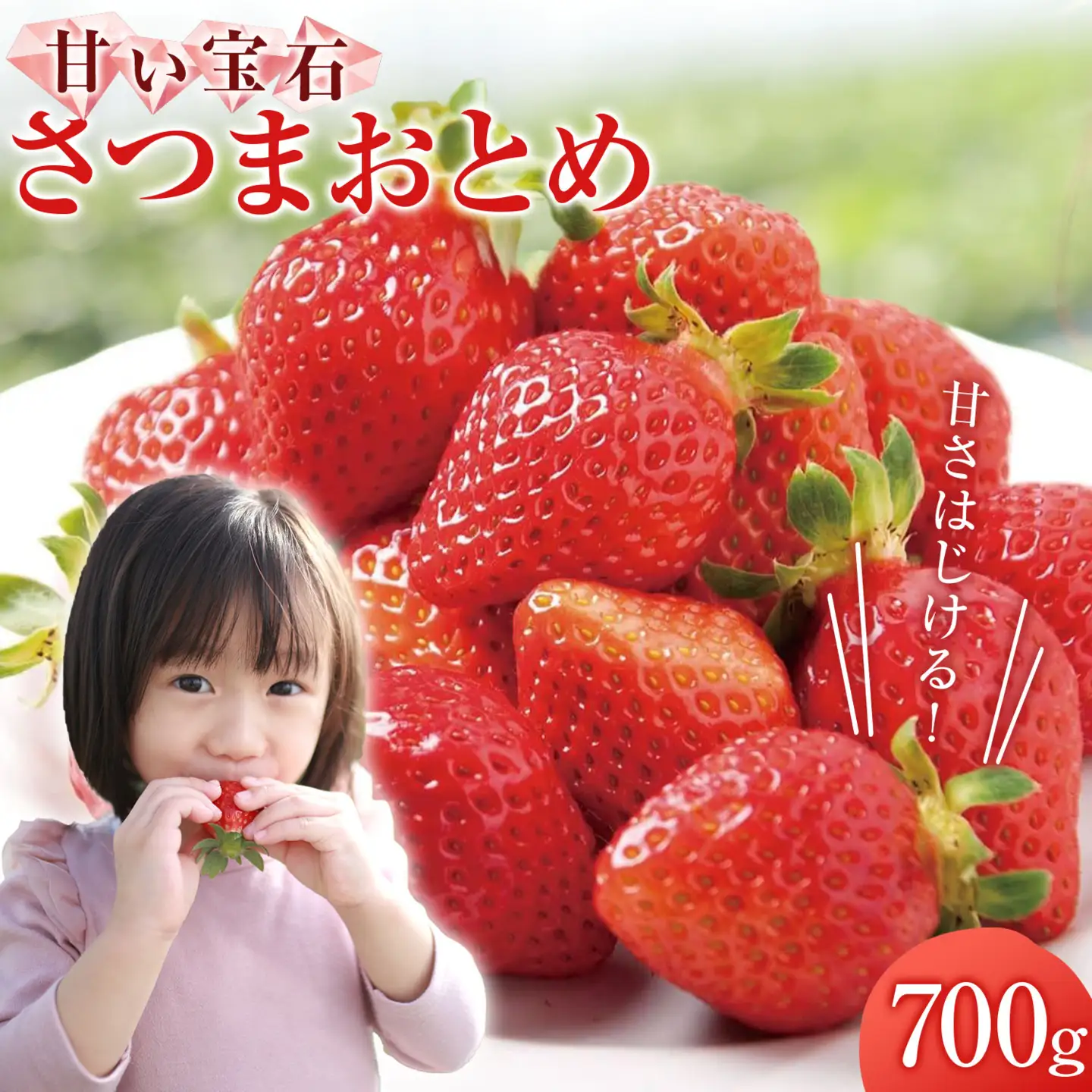 苺 いちご さつまおとめ 700g 北さつま農協《1月上旬-2月末頃出荷》