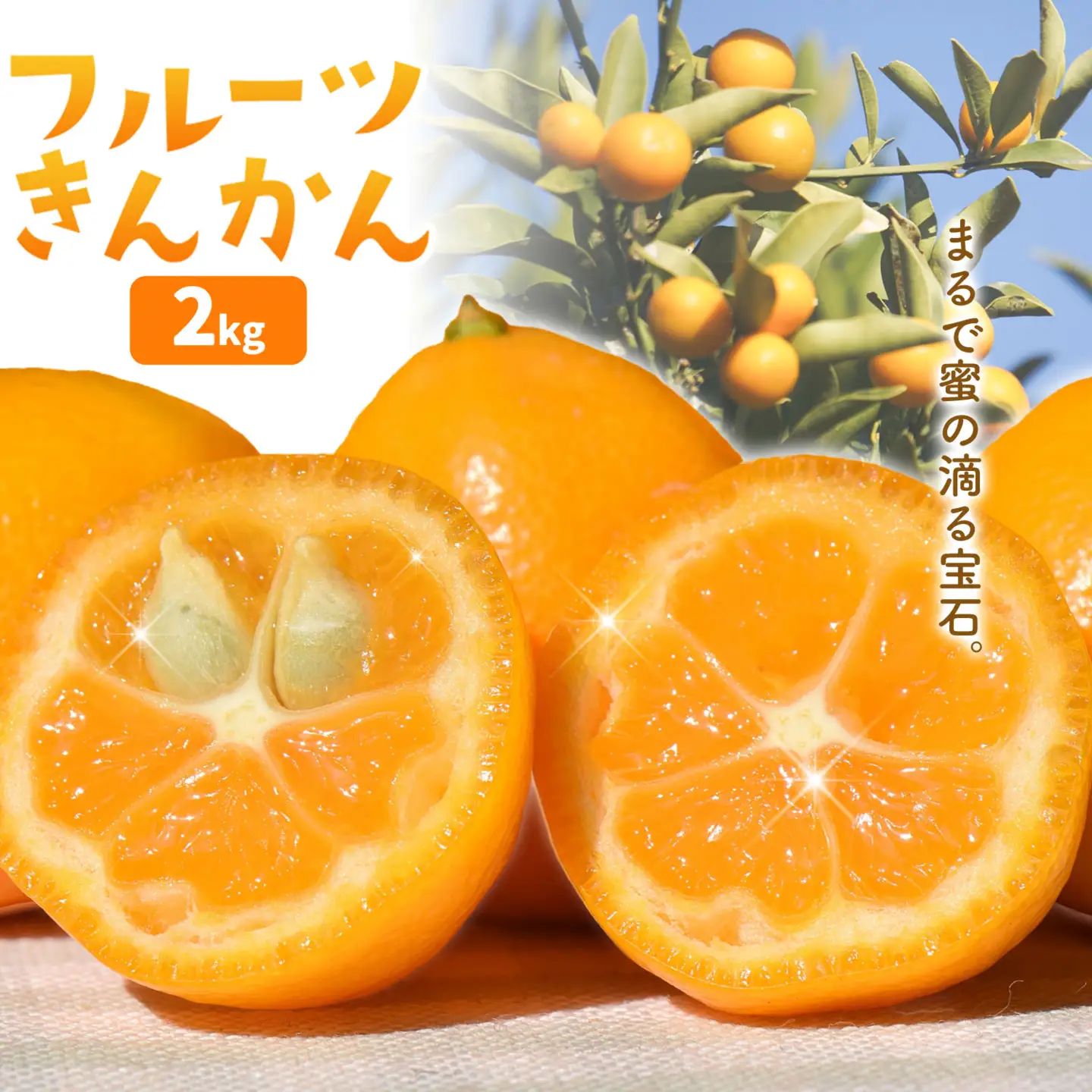 フルーツきんかん 2kg 北さつま農協《1月上旬-2月中旬頃出荷》
