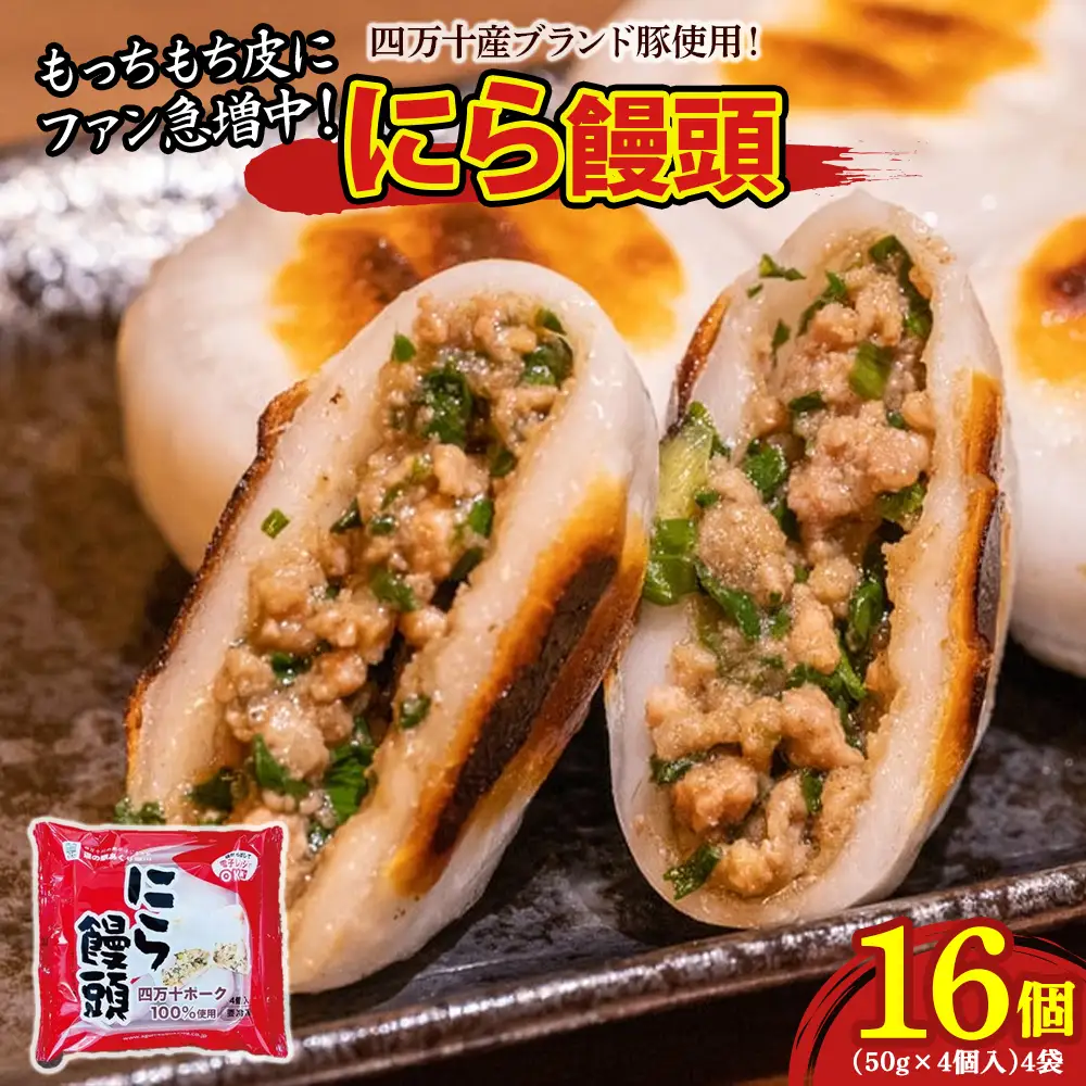 もっちもち皮にファン急増中！にら饅頭セット (計16個) ／Qak-A27 まんじゅう 国産 特産品