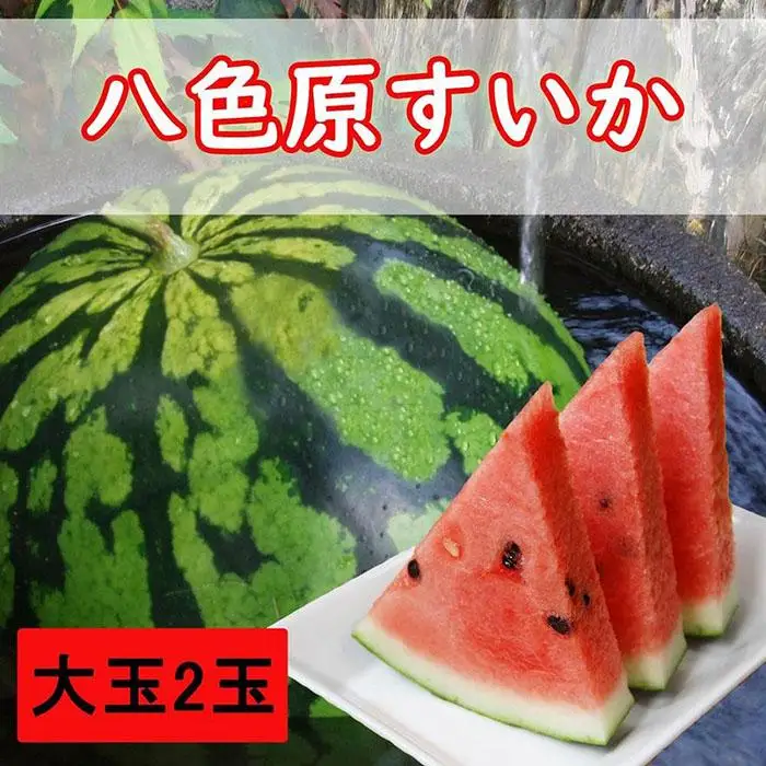 【先行予約】八色原西瓜 大玉2玉【西瓜 スイカ すいか 大玉 季節限定 果物 フルーツ ギフト 名産地 産地直送 シャキシャキ 厳選 デザート 新潟県】【2026年7月下旬発送】【お届け日時指定不可】