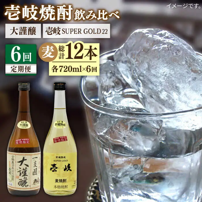 【全6回定期便】壱岐スーパーゴールド22度と合鴨農法米 大謹醸 [JDB241] 96000 96000円