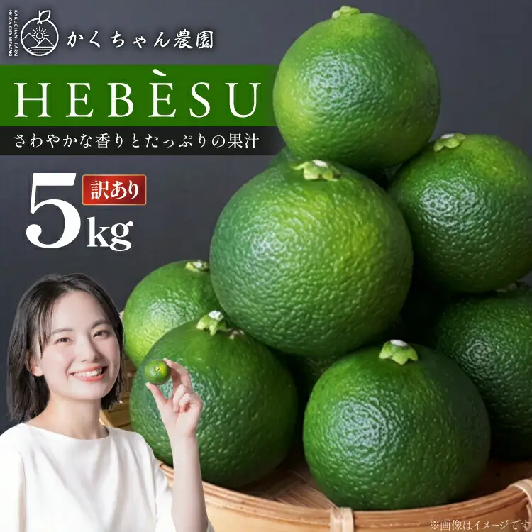 【期間限定発送】 訳あり  採れたてへべす 5kg