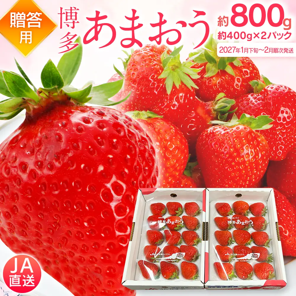 先行予約いちご あまおう 合計約800g 約400g×2パック 【2027年1月下旬～2月順次発送】 あまおう