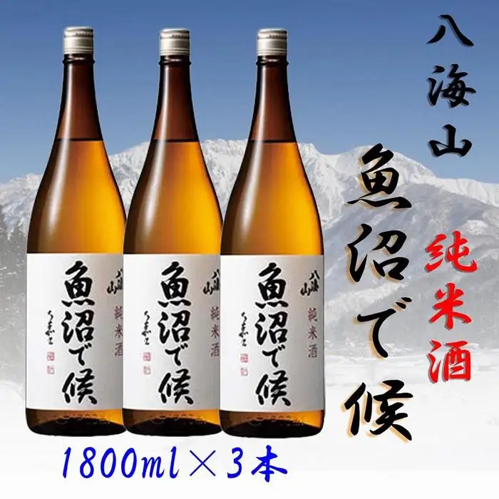 【魚沼地域限定】純米酒 八海山「魚沼で候」1800ml×3(化粧箱付き) | 八海山
