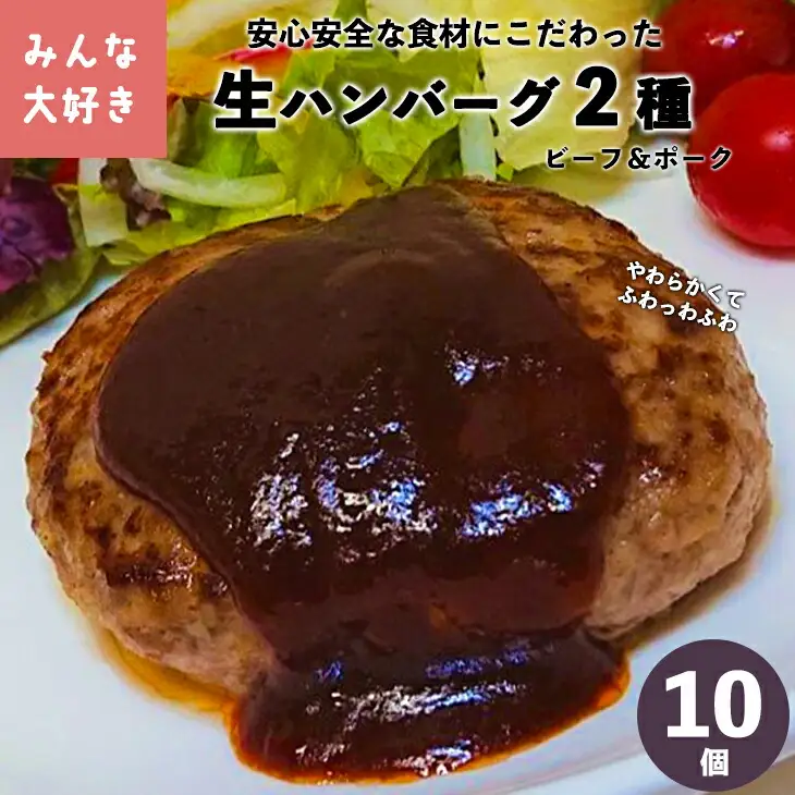 みんな大好き  ハンバーグ  10個セット （ビーフ・ポーク）【1223】