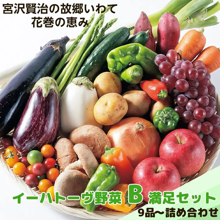 イーハトーヴ野菜B 満足セット 9品～ 詰め合わせ【1203】