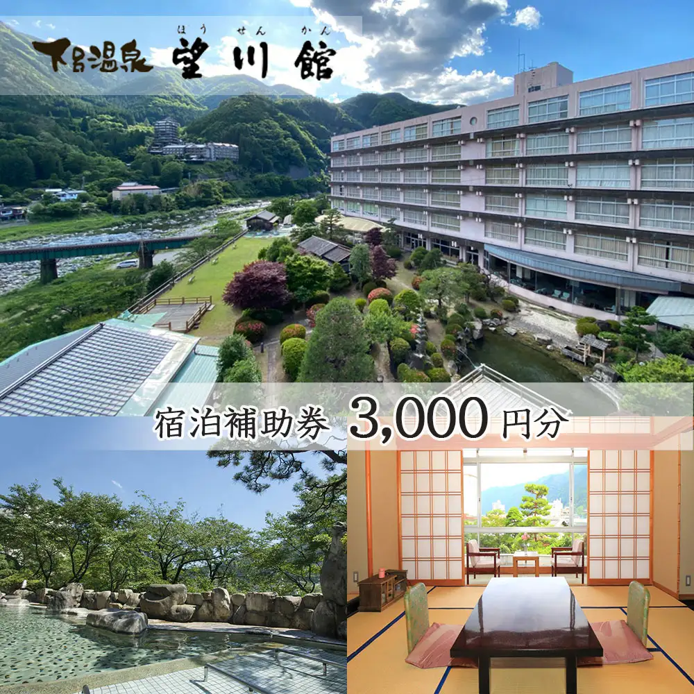 【お子様連れに優しい宿】下呂温泉 【望川館】宿泊補助券(3,000円分）【a006-2】