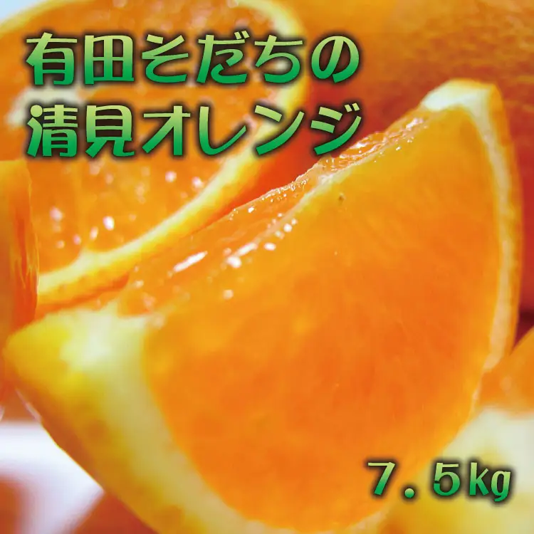 有田育ちの完熟清見オレンジ(ご家庭用)　7.5kg+200g(補償分)【2027年2月下旬～5月上旬頃に順次発送予定】【ard018C】