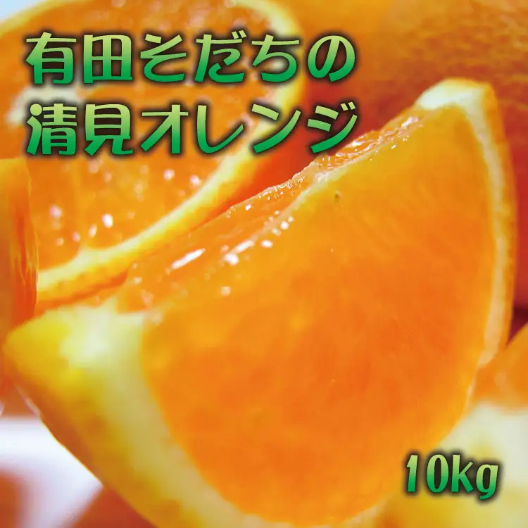 有田育ちの完熟清見オレンジ(ご家庭用)　10kg+200g(補償分)【2027年2月下旬～5月上旬頃に順次発送予定】【ard019C】
