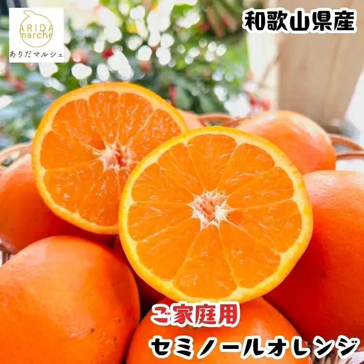 有田育ちの爽快セミノールオレンジ(ご家庭用)　約7.5kg+200g(補償分) 【2027年4月上旬～5月下旬頃に順次発送予定】【ard026B】