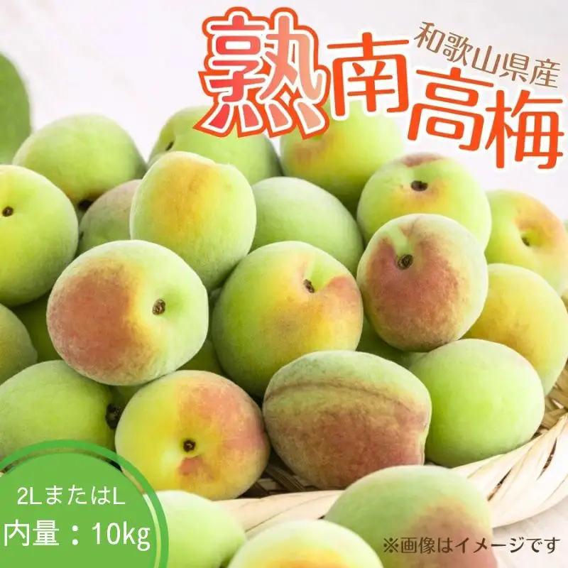 【梅干・梅酒用】（2LまたはL－10Kg）熟南高梅＜2027年6月上旬～7月7日発送予定＞【ART03】 /  梅 梅干し ウメ 青梅 生梅 梅シロップ フルーツ 果物 くだもの 食品 人気 おすすめ 送料無料【art011C】