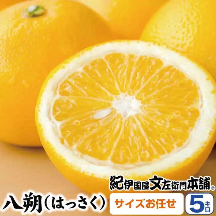 八朔(はっさく)約5kg サイズおまかせ　紀伊国屋文左衛門本舗※2027年1月下旬～4月上旬頃発送予定【sutb410B】