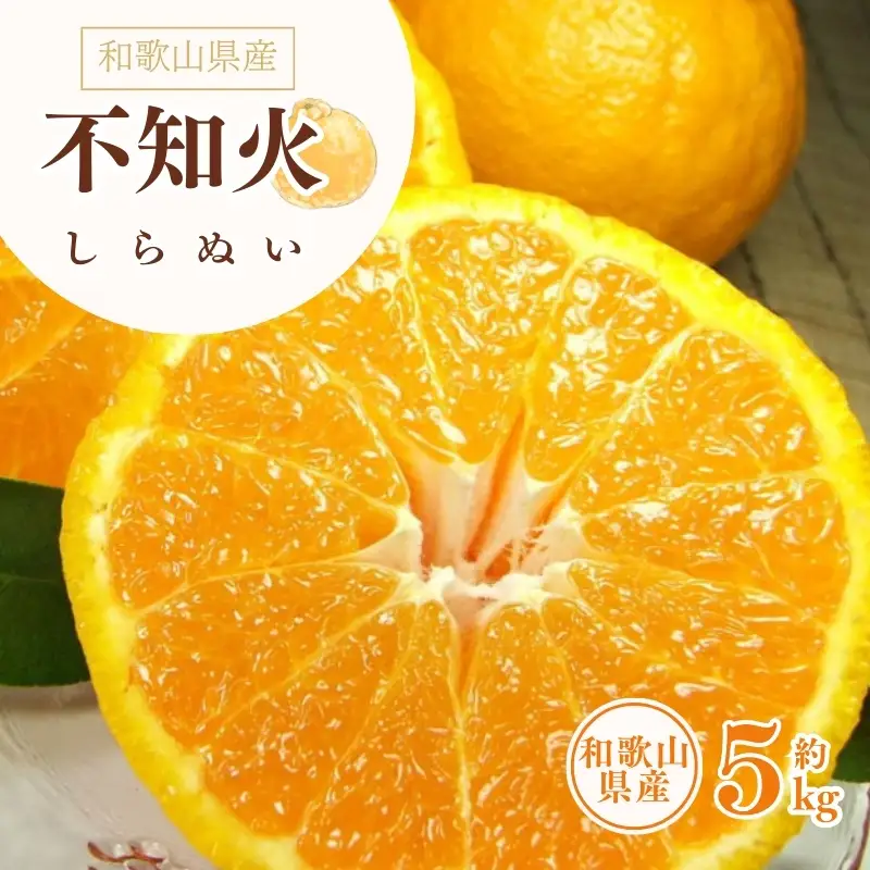 デコ不知火（デコポン） 約5kg/サイズおまかせ　※2027年2月上旬～4月上旬頃に順次発送予定(お届け日指定不可)　紀伊国屋文左衛門本舗　【sutb420A】