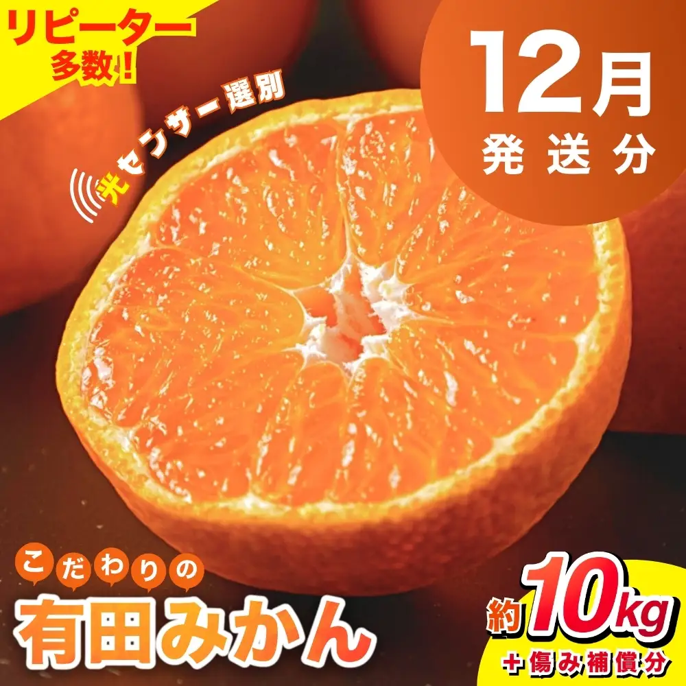 【2026年12月発送予約分】【家庭用】こだわりの有田みかん 約10kg＋250g(傷み補償分) ※北海道・沖縄・離島配送不可【nuk101-12C】