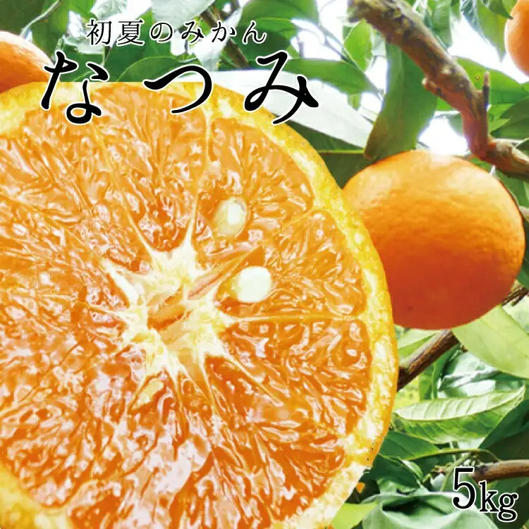 【先行予約】 初夏のみかん　なつみ5kg  ※2027年4月中旬頃?2027年4月末頃順次発送予定(お届け日指定不可) / 果物 フルーツ 柑橘 くだもの 和歌山 有田みかん みかん オレンジ【uot501-2】