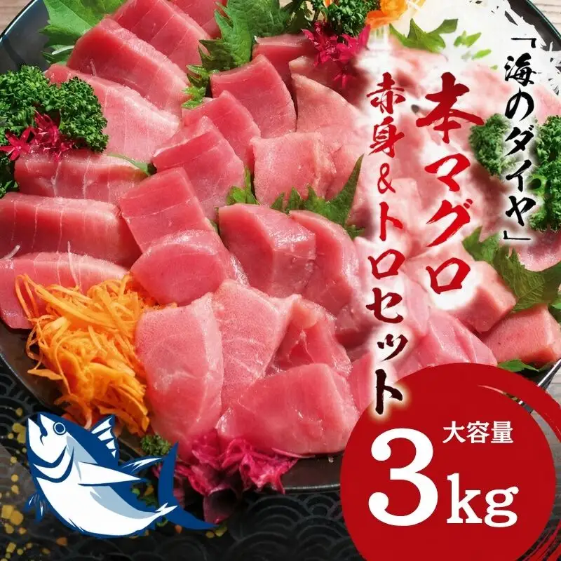 【通常発送】本マグロ（養殖）トロ＆赤身セット 3kg まぐろ 刺身 鮪 本鮪 クロマグロ 赤身 中とろ 大容量 まぐろたたき まぐろ丼【nks112】