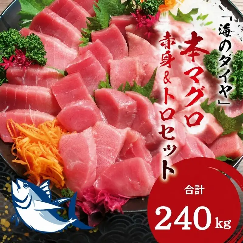本マグロ（養殖）トロ＆赤身セット 240g 【１ヶ月以内に順次発送】/ 高級 クロマグロ  中トロ 中とろ  まぐろ マグロ 鮪 刺身 赤身 柵 じゃばらまぐろ 本マグロ 本鮪 【nks113B】