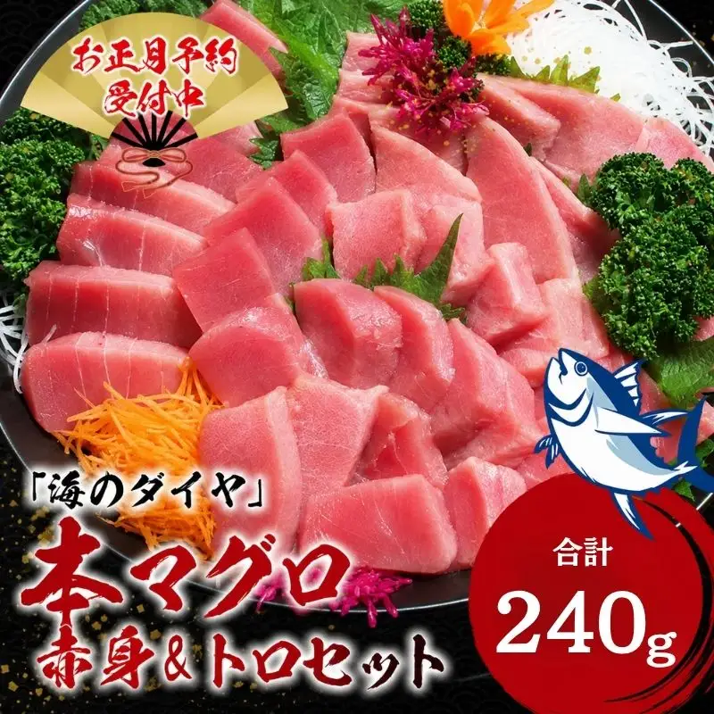 本マグロ（養殖）トロ＆赤身セット 240g 【12/25～29発送】高級 クロマグロ  中トロ 中とろ まぐろ マグロ 鮪 刺身 赤身 柵 じゃばらまぐろ 本マグロ 本鮪 【nks113B-sg】