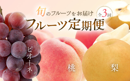 定期便【全3回/7・8・9月】和歌山産フルーツ定期便！人気の桃・梨・ピオーネ　旬のフルーツを毎月お届け♪【tkb114】