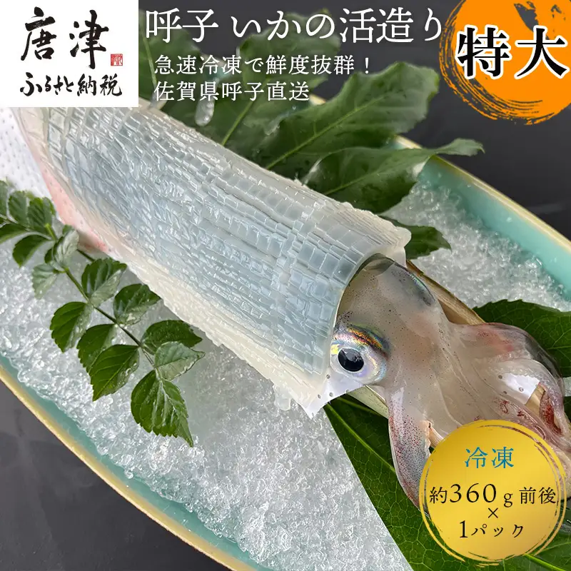 呼子のいか活造り1杯(360g前後) 特大サイズ コリコリ甘い鮮度抜群の透明感!