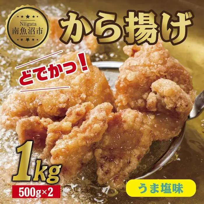 どでか味付けから揚げ うま塩味 500g×2パック 計1kg 大容量 唐揚げ からあげ から揚げ しお 塩 揚げ物 冷凍 惣菜 簡単 調理 肉 おかず 味付き 野崎フーズ 新潟県 南魚沼市｜チルド