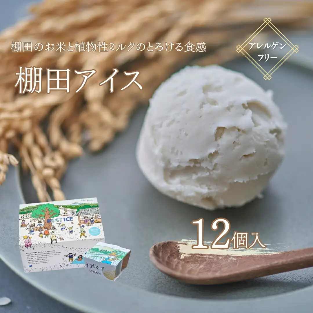 棚田アイス とろけるお米味 91ml×12個|アイス