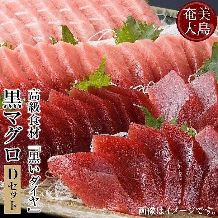 クロマグロ 鹿児島県奄美大島産高級食材『黒いダイヤ』クロマグロ Dセット