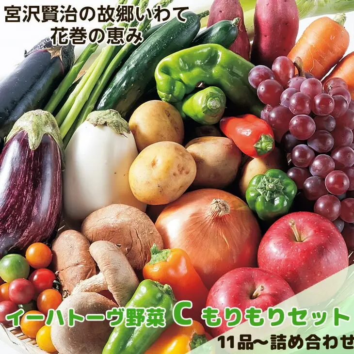 イーハトーヴ野菜C もりもりセット 11品～ 詰め合わせ【1207】