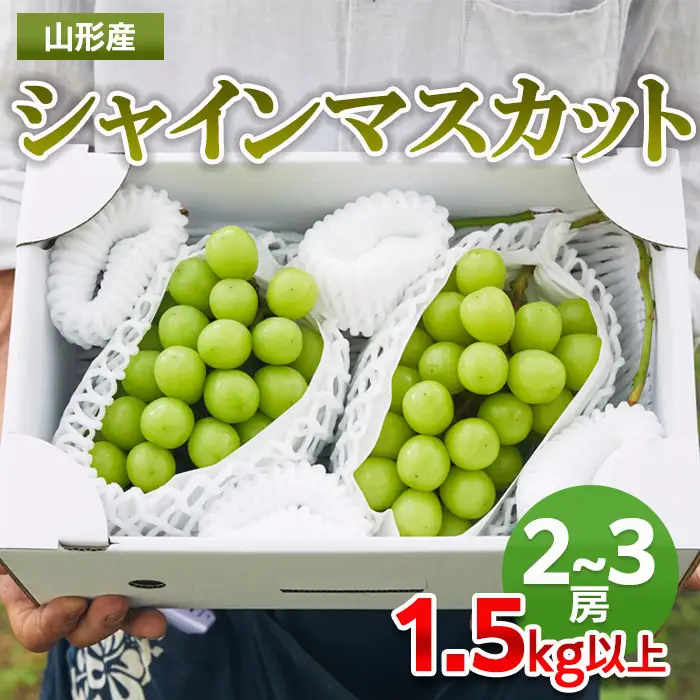山形市産 シャインマスカット 秀1.5kg以上(2~3房)【前半】 FZ22-331