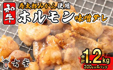 ホルモン味噌ダレ 1.2kg ホルモン