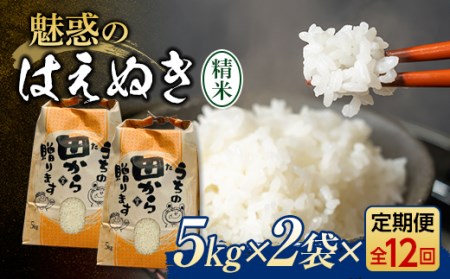 定期便 全12回 令和6年産 魅惑のはえぬき10kg（5kg×2） 米 お米 おこめ 山形県 新庄市 F3S-2066