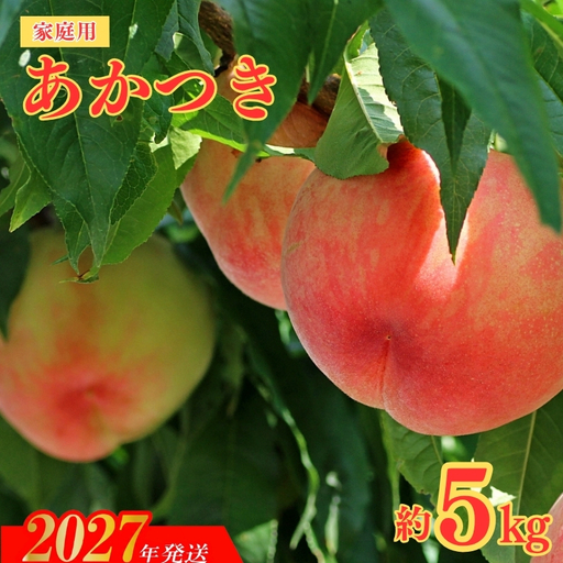 ご家庭用】福島のもも あかつき 約5kg【2027年発送】No.2155｜福島県