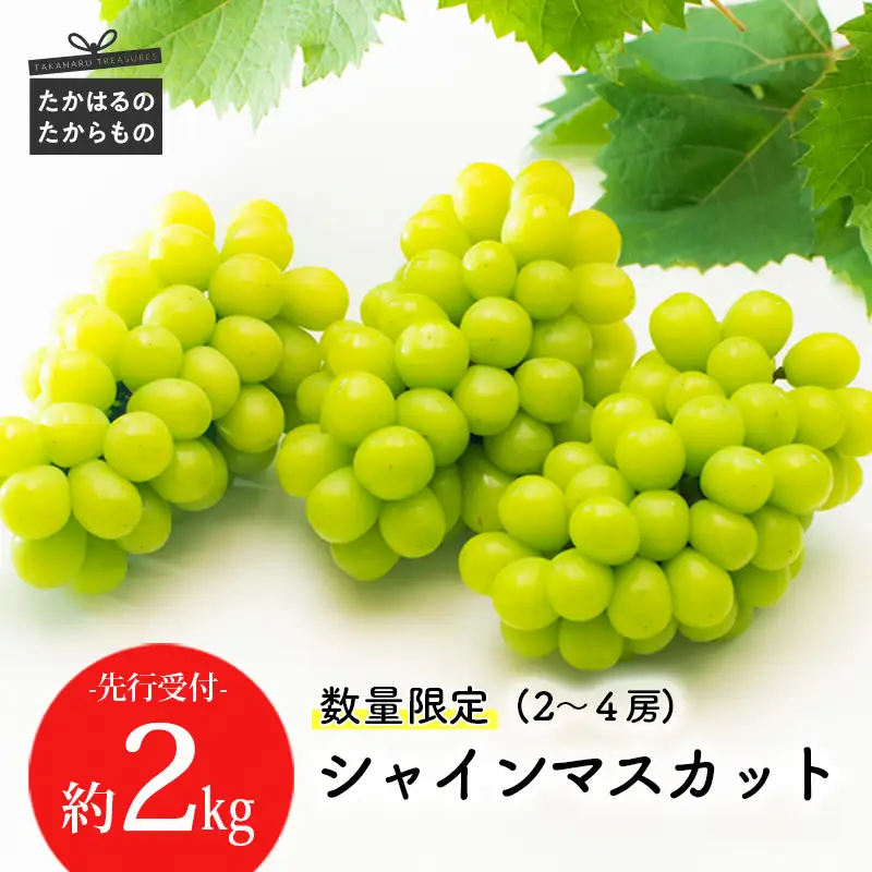 【数量限定・先行受付】久保ぶどう園の大粒シャインマスカット約2kg (3～4房) 果汁たっぷりの美味しい種なし葡萄 TF0394-P00005
