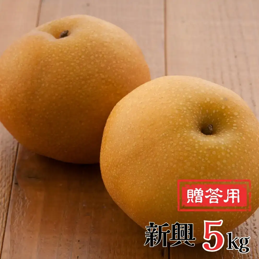 先行予約 新興 和梨 新興梨 5kg 潟県産 新興 梨 新興 [岩福農園]