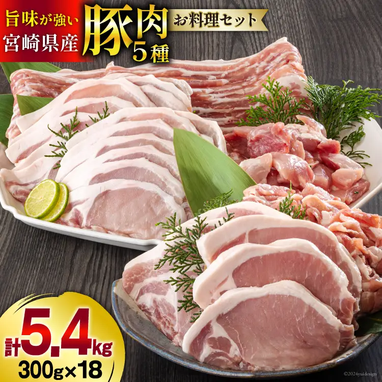 豚肉 小分け 切り落とし ロース 豚バラ スライス お料理セット 計5.4kg
