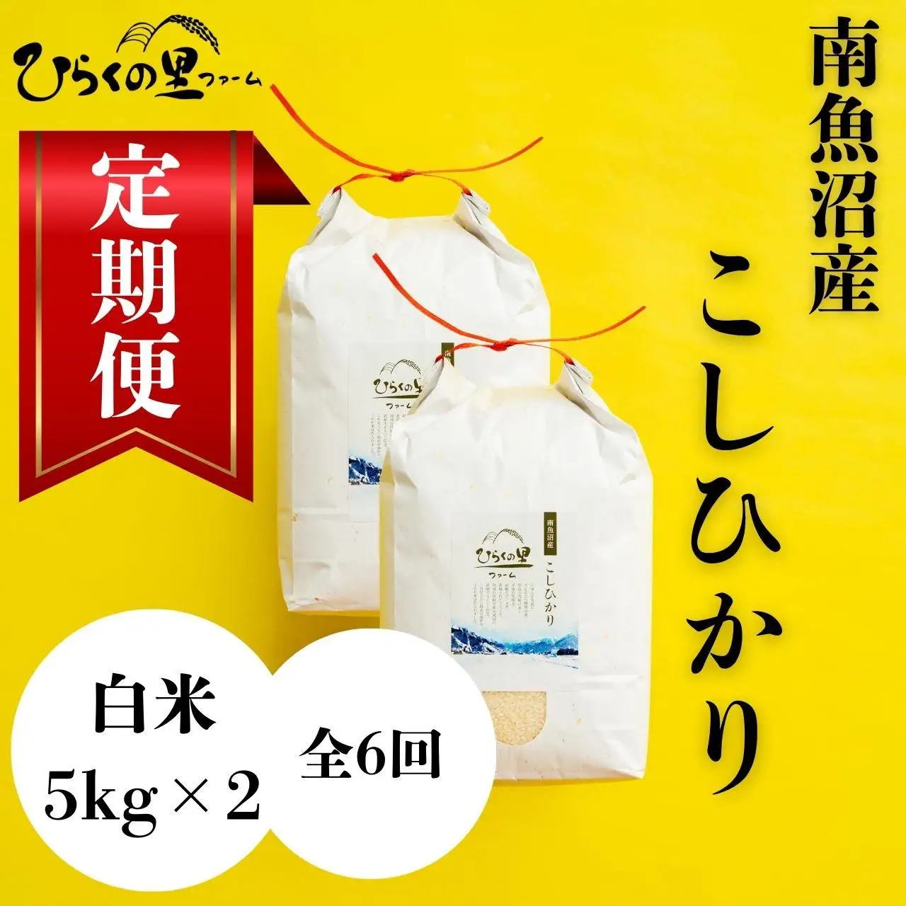 【定期便】（全6ヶ月）もっちり甘い！南魚沼産コシヒカリ 白米5kg×2 ひらくの里ファーム |白米