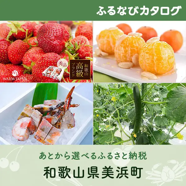 【有効期限なし！後からゆっくり特産品を選べる】和歌山県美浜町カタログポイント