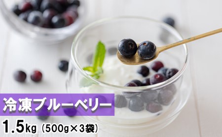 【数量限定】ブルーベリー 冷凍 500g×3袋 1.5kg
