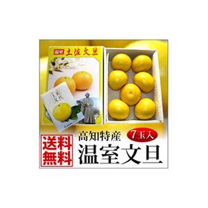 高知特産　温室（ハウス）土佐文旦　約3kg・7玉入〈2026年11月下旬-2027年1月上旬頃発送〉【株式会社四国健商】 [ATAF037]