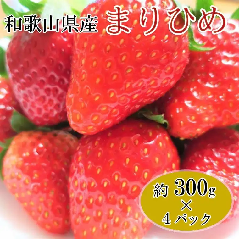 ［3月発送］和歌山県産ブランドいちご「まりひめ」約300g×4パック入り［北海道・沖縄県・離島配送不可］［印南町産］［TM125w］