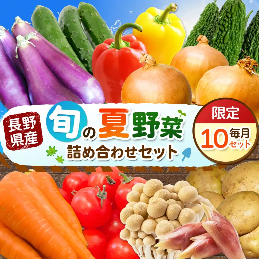 天龍村の旬の夏野菜（農産物）詰め合わせセット 令和8年 8月～9月配送予定
