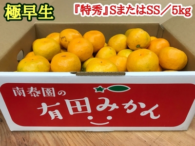 極早生 有田みかん 約5kg 特秀 S.SS_ZF6013n