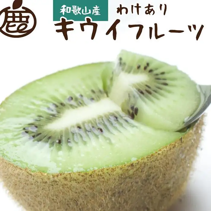 ［先行予約］家庭用 キウイ5kg+250g（傷み補償分）【わけあり・訳あり・扁平果】［IKE104］