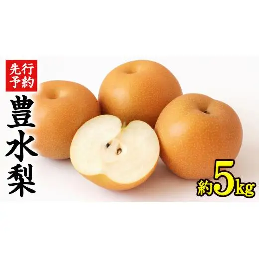 《 先行予約 》 茨城県産 梨 豊水 ( 約5kg )【2026年9月上旬頃より発送開始】