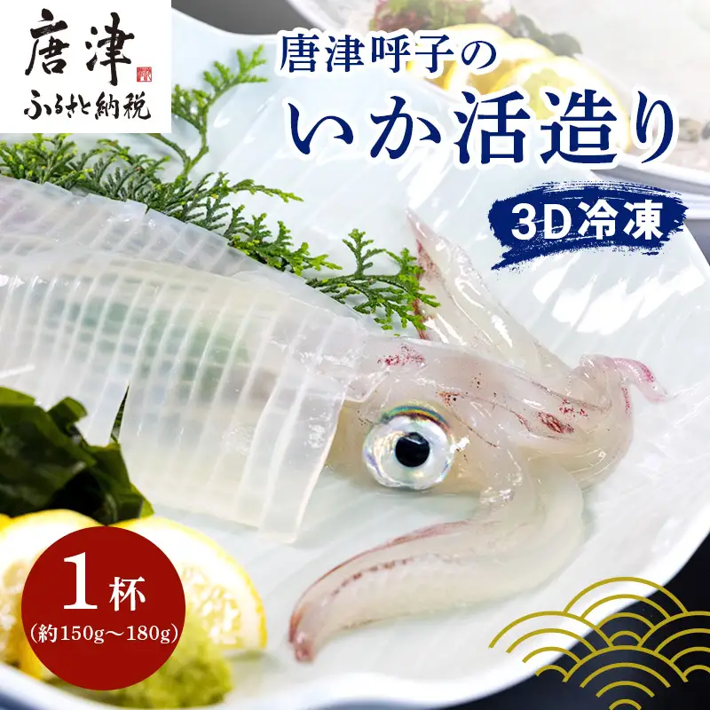 『先行予約』唐津呼子産いか活造り 1杯(約150g～180g)  急速冷凍 新鮮そのまま食卓へ！※水揚げあり次第7月以降順次発送させていただきます。