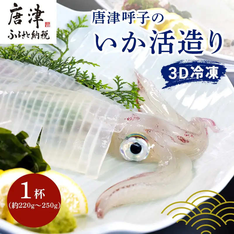 『先行予約』唐津呼子産いか活造り 1杯(約220g～250g) 急速冷凍 新鮮そのまま食卓へ！※水揚げあり次第7月以降順次発送させていただきます。