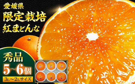 紅まどんな（5-6個）【11月下旬から順次発送】 紅まどんな みかん [AGBA003]