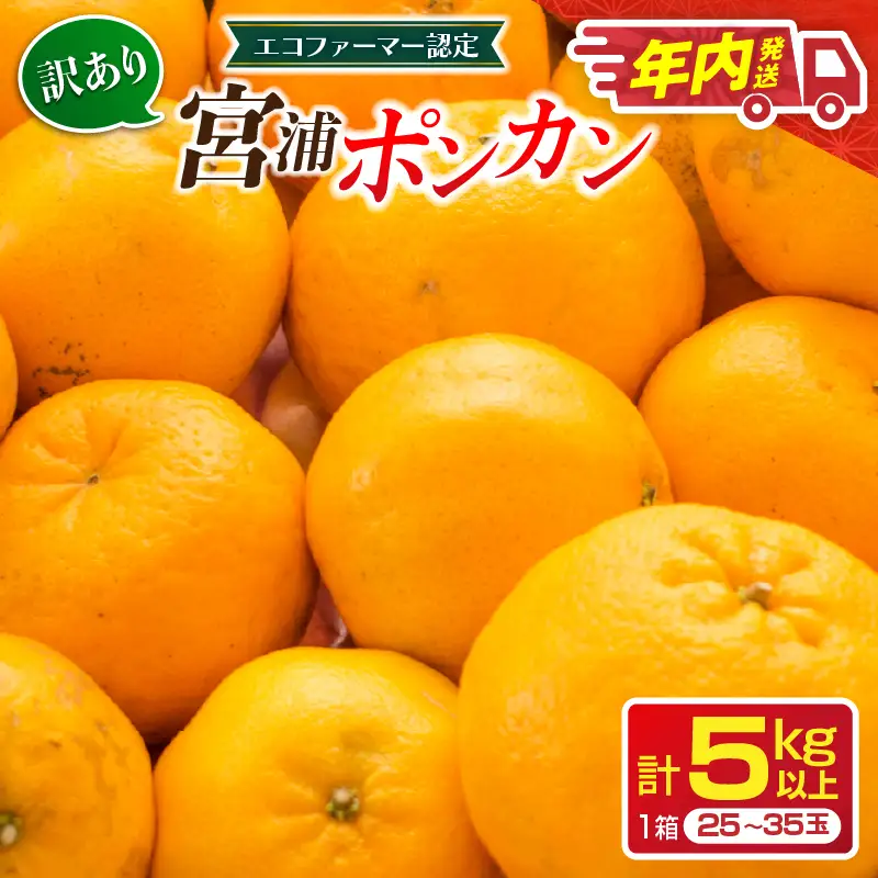 年内発送 訳あり 宮浦 ポンカン 5kg 先行予約 フルーツ_AAV23-26