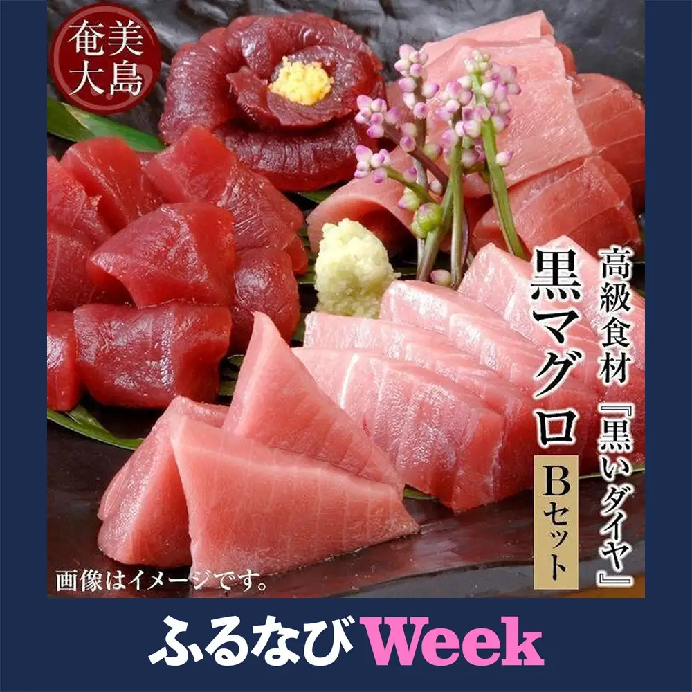 【ふるなびWEEK対象】鹿児島県奄美大島産高級食材『黒いダイヤ』黒マグロ　Bセット