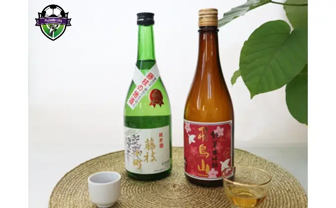 酒 藤枝小町 飛鳥山 みりん セット 静岡県 藤枝市 酒